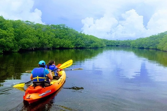 Bwejuu Mangrove Tunnel Kayaking